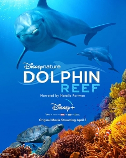 Watch Dolphin Reef Online Free and No Sign Up - 285 HDMovie