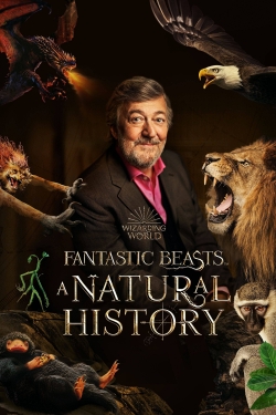 Watch Fantastic Beasts: A Natural History Online Free and No Sign Up - 285 HDMovie