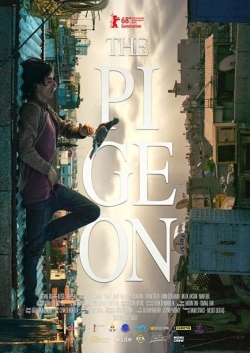 Watch The Pigeon Online Free and No Sign Up - 285 HDMovie