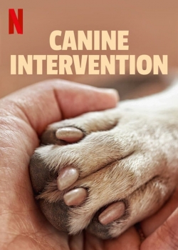 Watch Canine Intervention Online Free and No Sign Up - 285 HDMovie