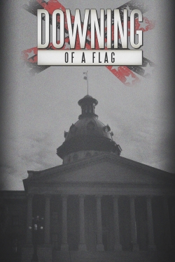 Watch Downing of a Flag Online Free and No Sign Up - 285 HDMovie