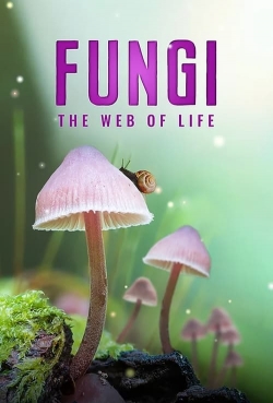 Watch Fungi: The Web of Life Online Free and No Sign Up - 285 HDMovie