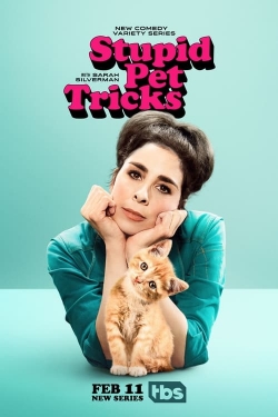 Watch Stupid Pet Tricks Online Free and No Sign Up - 285 HDMovie