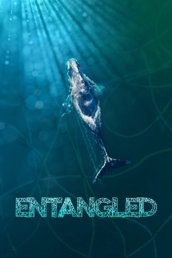 Watch Entangled: The Race to Save Right Whales from Extinction Online Free and No Sign Up - 285 HDMovie