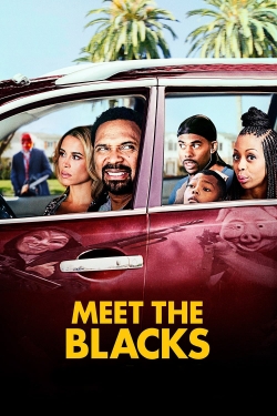 Watch Meet the Blacks Online Free and No Sign Up - 285 HDMovie