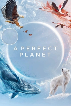 Watch A Perfect Planet Online Free and No Sign Up - 285 HDMovie