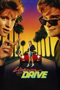 Watch License to Drive Online Free and No Sign Up - 285 HDMovie