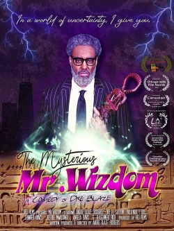 Watch The Mysterious Mr. Wizdom Online Free and No Sign Up - 285 HDMovie