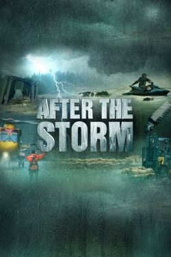 Watch After the Storm Online Free and No Sign Up - 285 HDMovie