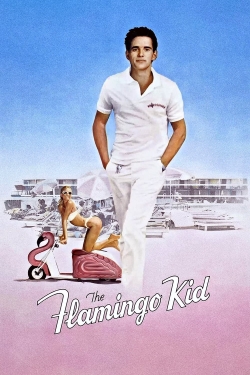 Watch The Flamingo Kid Online Free and No Sign Up - 285 HDMovie