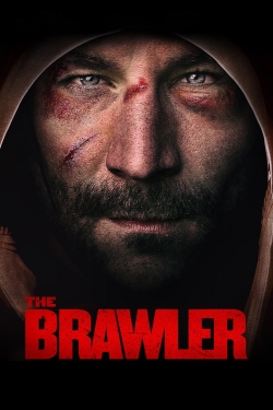 Watch The Brawler Online Free and No Sign Up - 285 HDMovie