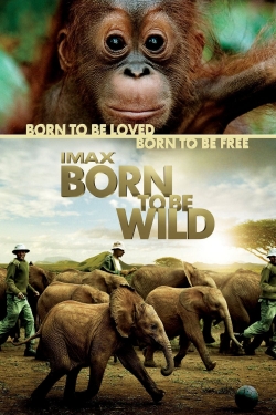 Watch Born to Be Wild Online Free and No Sign Up - 285 HDMovie