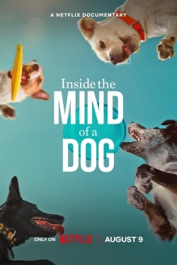 Watch Inside the Mind of a Dog Online Free and No Sign Up - 285 HDMovie