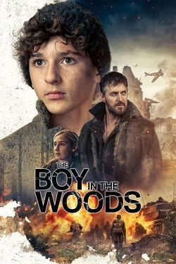 Watch The Boy in the Woods Online Free and No Sign Up - 285 HDMovie