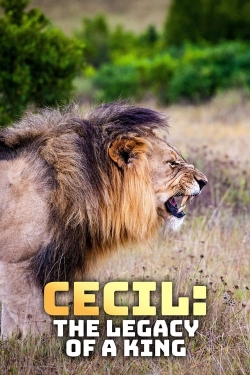 Watch Cecil: The Legacy of a King Online Free and No Sign Up - 285 HDMovie