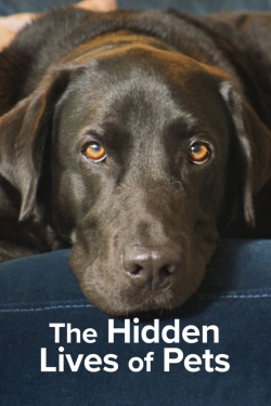 Watch The Hidden Lives of Pets Online Free and No Sign Up - 285 HDMovie