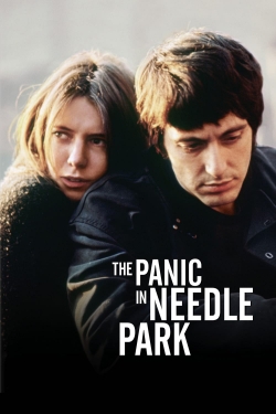 Watch The Panic in Needle Park Online Free and No Sign Up - 285 HDMovie