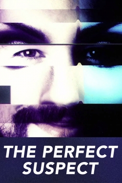 Watch The Perfect Suspect Online Free and No Sign Up - 285 HDMovie