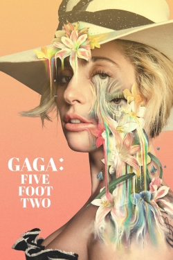 Watch Gaga: Five Foot Two Online Free and No Sign Up - 285 HDMovie