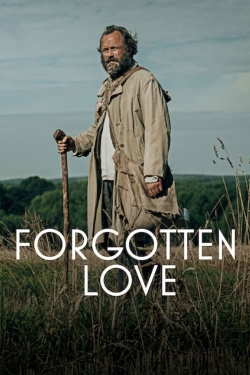 Watch Forgotten Love Online Free and No Sign Up - 285 HDMovie