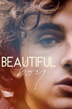 Watch Beautiful Boy Online Free and No Sign Up - 285 HDMovie