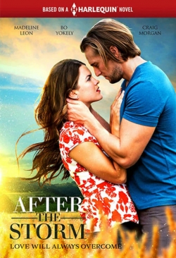 Watch After the Storm Online Free and No Sign Up - 285 HDMovie