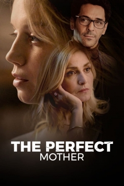 Watch The Perfect Mother Online Free and No Sign Up - 285 HDMovie