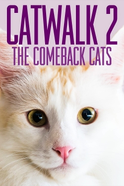 Watch Catwalk 2: The Comeback Cats Online Free and No Sign Up - 285 HDMovie