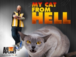 Watch My Cat from Hell Online Free and No Sign Up - 285 HDMovie