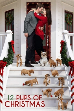 Watch 12 Pups of Christmas Online Free and No Sign Up - 285 HDMovie