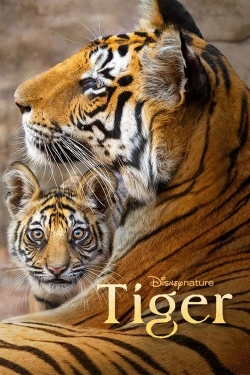 Watch Tiger Online Free and No Sign Up - 285 HDMovie