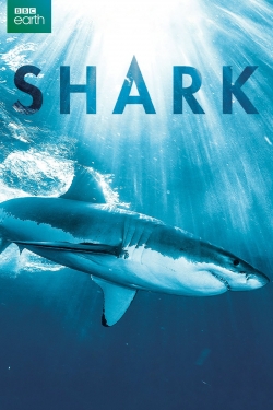 Watch Shark Online Free and No Sign Up - 285 HDMovie