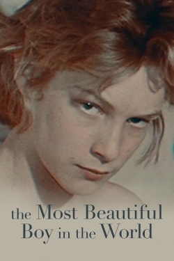 Watch The Most Beautiful Boy in the World Online Free and No Sign Up - 285 HDMovie