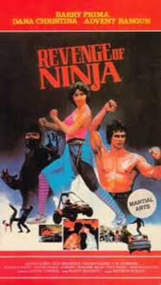 Watch Revenge of the Ninja Online Free and No Sign Up - 285 HDMovie