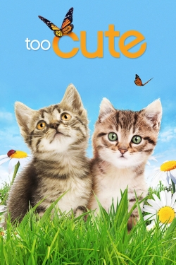 Watch Too Cute Online Free and No Sign Up - 285 HDMovie