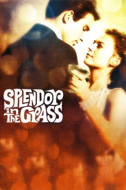 Watch Splendor in the Grass Online Free and No Sign Up - 285 HDMovie