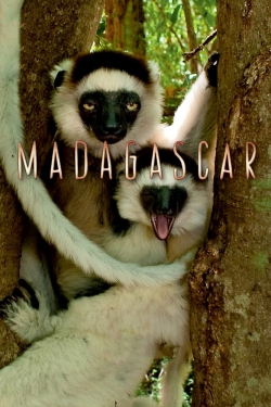 Watch Madagascar Online Free and No Sign Up - 285 HDMovie