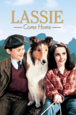 Watch Lassie Come Home Online Free and No Sign Up - 285 HDMovie