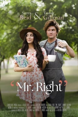 Watch Mr. Right Online Free and No Sign Up - 285 HDMovie