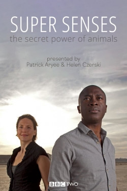 Watch Super Senses: The Secret Power of Animals Online Free and No Sign Up - 285 HDMovie