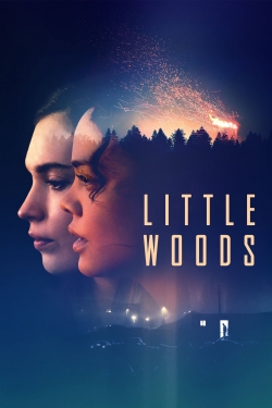 Watch Little Woods Online Free and No Sign Up - 285 HDMovie