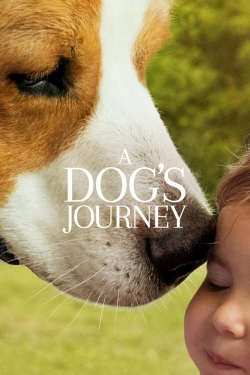 Watch A Dog's Journey Online Free and No Sign Up - 285 HDMovie