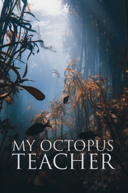 Watch My Octopus Teacher Online Free and No Sign Up - 285 HDMovie