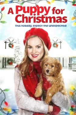 Watch A Puppy for Christmas Online Free and No Sign Up - 285 HDMovie