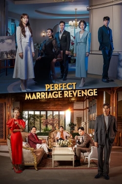 Watch Perfect Marriage Revenge Online Free and No Sign Up - 285 HDMovie