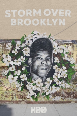 Watch Yusuf Hawkins: Storm Over Brooklyn Online Free and No Sign Up - 285 HDMovie