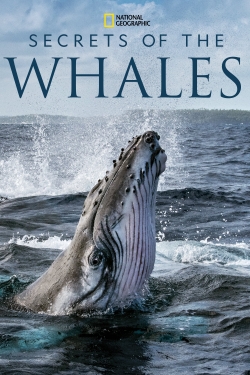 Watch Secrets of the Whales Online Free and No Sign Up - 285 HDMovie