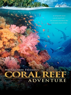 Watch Coral Reef Adventure Online Free and No Sign Up - 285 HDMovie