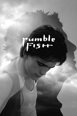 Watch Rumble Fish Online Free and No Sign Up - 285 HDMovie