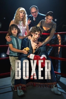 Watch Boxer Online Free and No Sign Up - 285 HDMovie